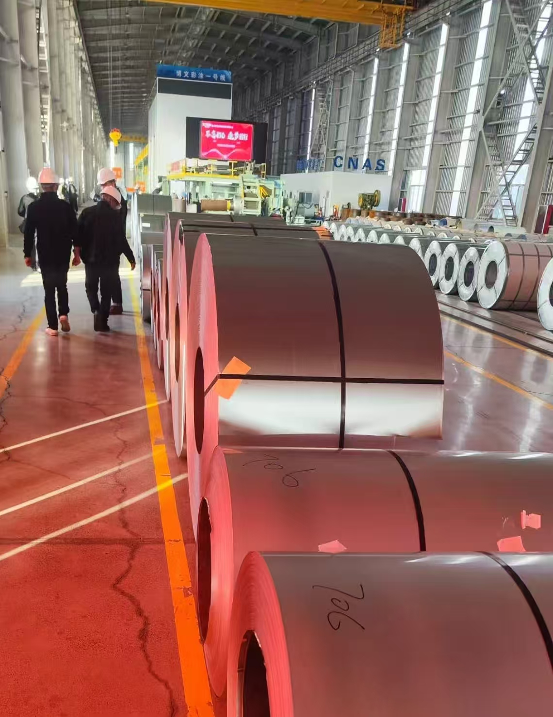 Mill Visit — Egypt