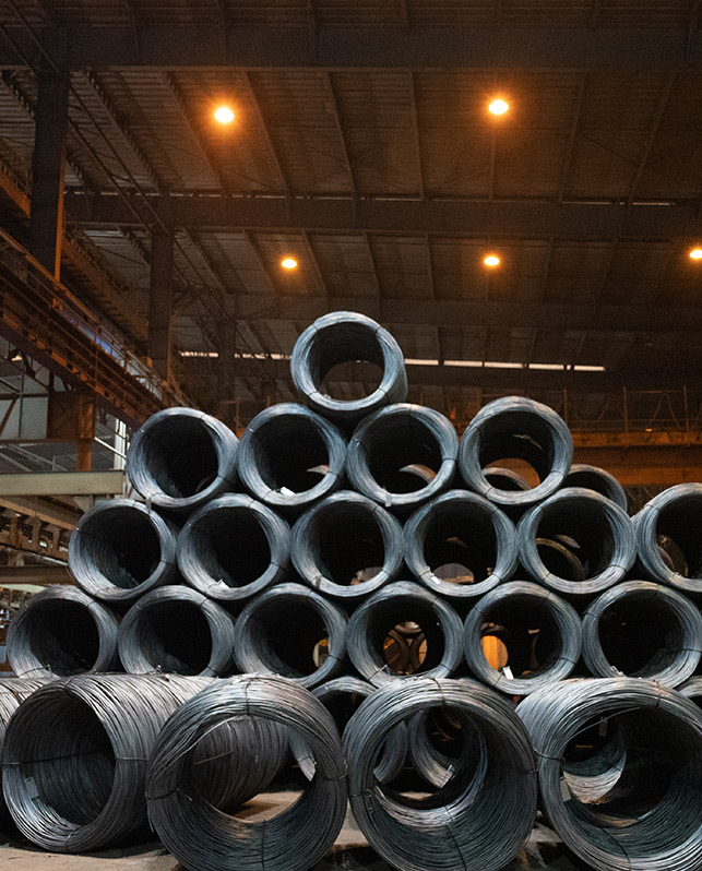 Wire Rod / Hot Rolled Wire Rod / Steel Wire Coil